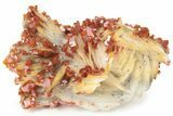 Ruby Red Vanadinite Crystals on White Barite - Morocco #231841-1